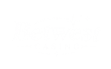 betwest casino logo